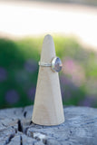 Gray Chalcedony Ring - Size 5