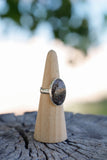 Oval Black Fossil Coral Ring - Size 8.5