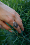 Oval Black Fossil Coral Ring - Size 8.5