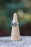 Buffalo Turquoise Ring - Size 7